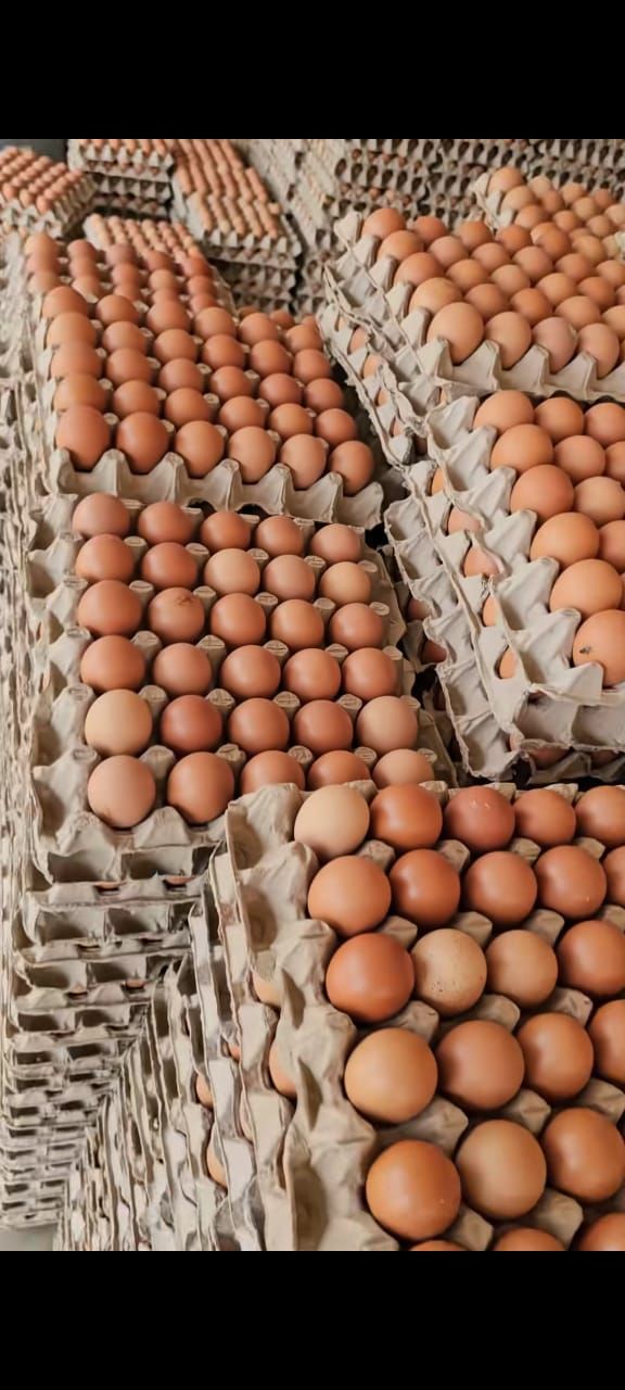 Fresh eggs by the tray