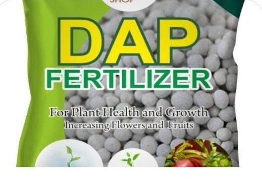 DAP fertilizer