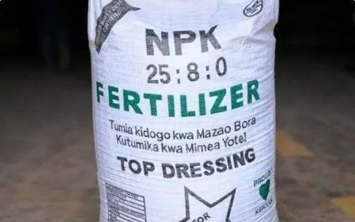NPK top dressing fertilizer