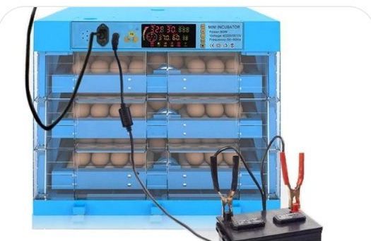 Mini solar-powered incubator